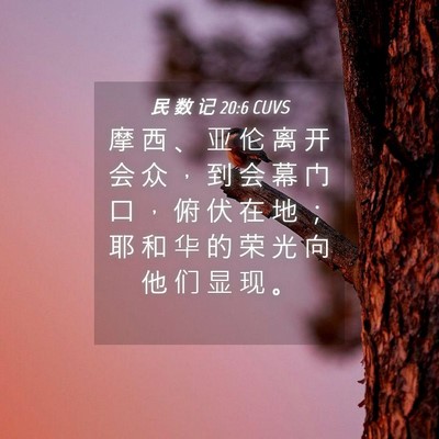 Picture 04 - 民 数 记 20:6 CUVS - 摩 西 、 亚 伦 离 开 会 众 ， 到 会 - Bible Verse Picture