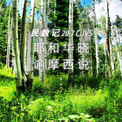 Picture 04 - 民 数 记 20:7 CUVS - 耶 和 华 晓 谕 摩 西 说 - Bible Verse Picture