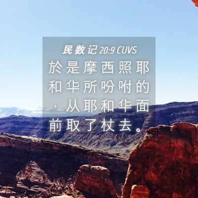 Picture 04 - 民 数 记 20:9 CUVS - 於 是 摩 西 照 耶 和 华 所 吩 咐 的 - Bible Verse Picture