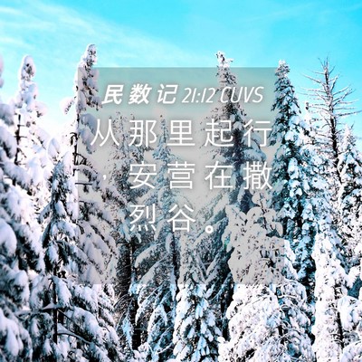 Picture 04 - 民 数 记 21:12 CUVS - 从 那 里 起 行 ， 安 营 在 撒 烈 谷 - Bible Verse Picture
