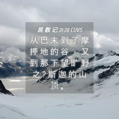 Picture 04 - 民 数 记 21:20 CUVS - 从 巴 末 到 了 摩 押 地 的 谷 ， 又 - Bible Verse Picture