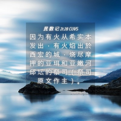 Picture 04 - 民 数 记 21:28 CUVS - 因 为 有 火 从 希 实 本 发 出 ， 有 - Bible Verse Picture