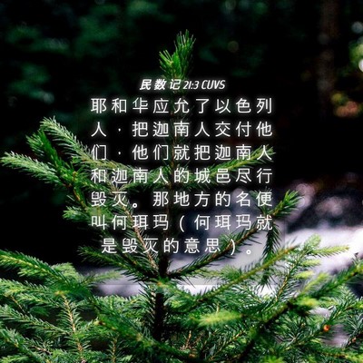 Picture 04 - 民 数 记 21:3 CUVS - 耶 和 华 应 允 了 以 色 列 人 ， 把 - Bible Verse Picture