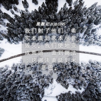 Picture 04 - 民 数 记 21:30 CUVS - 我 们 射 了 他 们 ； 希 实 本 直 到 - Bible Verse Picture