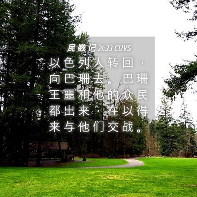 Picture 04 - 民 数 记 21:33 CUVS - 以 色 列 人 转 回 ， 向 巴 珊 去 。 - Bible Verse Picture