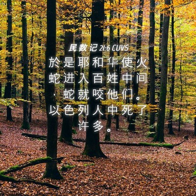 Picture 04 - 民 数 记 21:6 CUVS - 於 是 耶 和 华 使 火 蛇 进 入 百 姓 - Bible Verse Picture