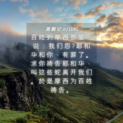 Picture 04 - 民 数 记 21:7 CUVS - 百 姓 到 摩 西 那 里 ， 说 ： 我 们 - Bible Verse Picture
