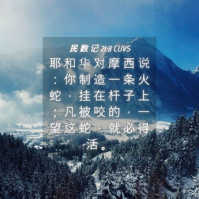 Picture 04 - 民 数 记 21:8 CUVS - 耶 和 华 对 摩 西 说 ： 你 制 造 一 - Bible Verse Picture