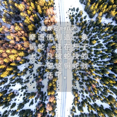Picture 04 - 民 数 记 21:9 CUVS - 摩 西 便 制 造 一 条 铜 蛇 ， 挂 在 - Bible Verse Picture