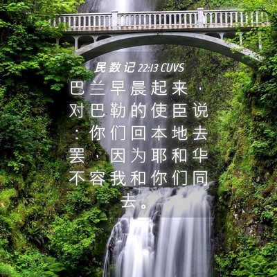 Picture 04 - 民 数 记 22:13 CUVS - 巴 兰 早 晨 起 来 ， 对 巴 勒 的 使 - Bible Verse Picture