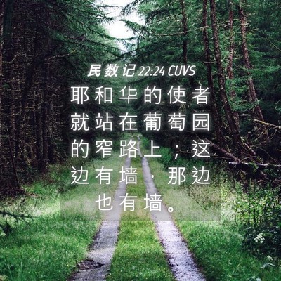 Picture 04 - 民 数 记 22:24 CUVS - 耶 和 华 的 使 者 就 站 在 葡 萄 园 - Bible Verse Picture
