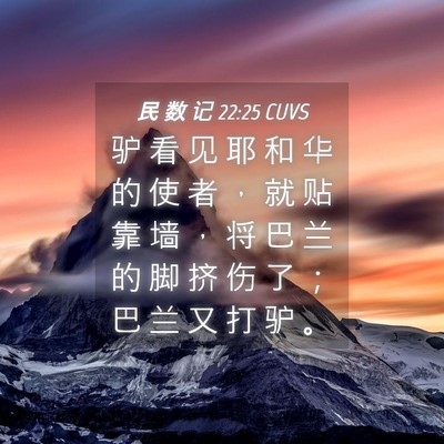 Picture 04 - 民 数 记 22:25 CUVS - 驴 看 见 耶 和 华 的 使 者 ， 就 贴 - Bible Verse Picture