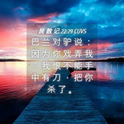 Picture 04 - 民 数 记 22:29 CUVS - 巴 兰 对 驴 说 ： 因 为 你 戏 弄 我 - Bible Verse Picture