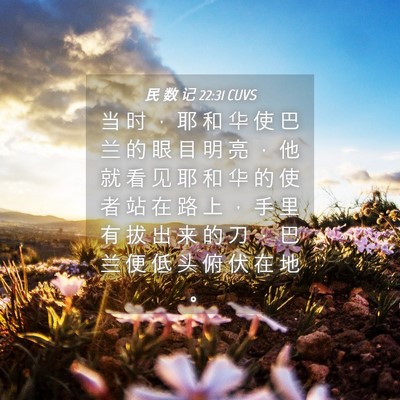 Picture 04 - 民 数 记 22:31 CUVS - 当 时 ， 耶 和 华 使 巴 兰 的 眼 目 - Bible Verse Picture