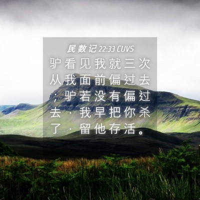 Picture 04 - 民 数 记 22:33 CUVS - 驴 看 见 我 就 三 次 从 我 面 前 偏 - Bible Verse Picture