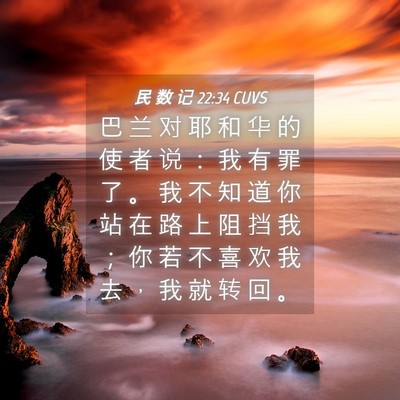 Picture 04 - 民 数 记 22:34 CUVS - 巴 兰 对 耶 和 华 的 使 者 说 ： 我 - Bible Verse Picture
