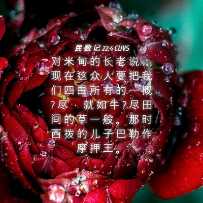 Picture 04 - 民 数 记 22:4 CUVS - 对 米 甸 的 长 老 说 ： 现 在 这 众 - Bible Verse Picture