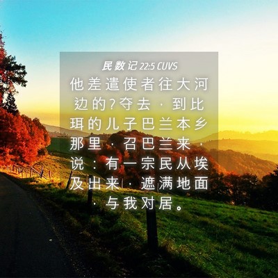Picture 04 - 民 数 记 22:5 CUVS - 他 差 遣 使 者 往 大 河 边 的 ? 夺 去 - Bible Verse Picture