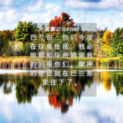 Picture 04 - 民 数 记 22:8 CUVS - 巴 兰 说 ： 你 们 今 夜 在 这 里 住 - Bible Verse Picture