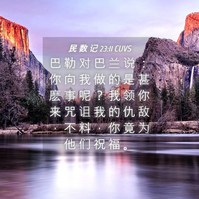 Picture 04 - 民 数 记 23:11 CUVS - 巴 勒 对 巴 兰 说 ： 你 向 我 做 的 - Bible Verse Picture