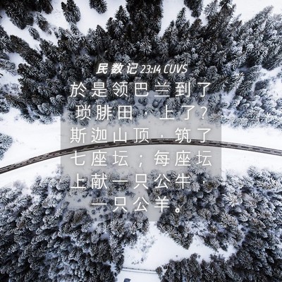 Picture 04 - 民 数 记 23:14 CUVS - 於 是 领 巴 兰 到 了 琐 腓 田 ， 上 - Bible Verse Picture