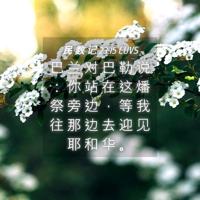 Picture 04 - 民 数 记 23:15 CUVS - 巴 兰 对 巴 勒 说 ： 你 站 在 这 燔 - Bible Verse Picture