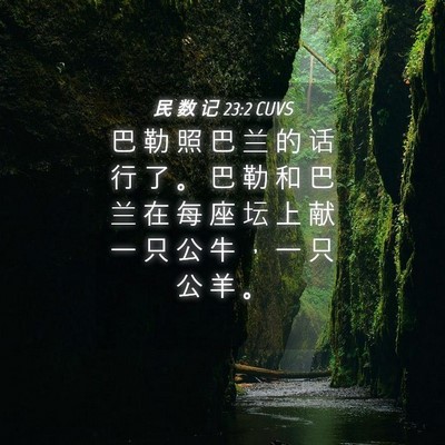 Picture 04 - 民 数 记 23:2 CUVS - 巴 勒 照 巴 兰 的 话 行 了 。 巴 勒 - Bible Verse Picture