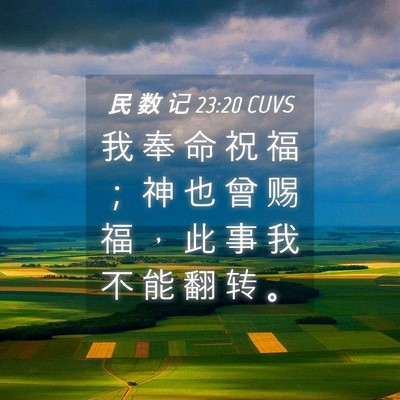 Picture 04 - 民 数 记 23:20 CUVS - 我 奉 命 祝 福 ； 神 也 曾 赐 福 ， - Bible Verse Picture