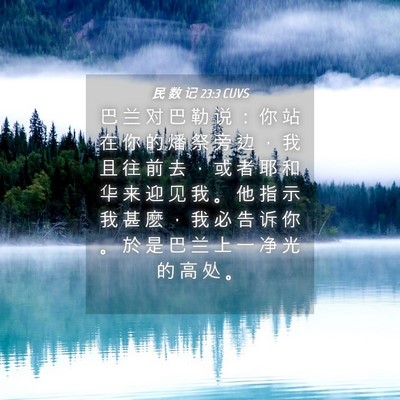 Picture 04 - 民 数 记 23:3 CUVS - 巴 兰 对 巴 勒 说 ： 你 站 在 你 的 - Bible Verse Picture