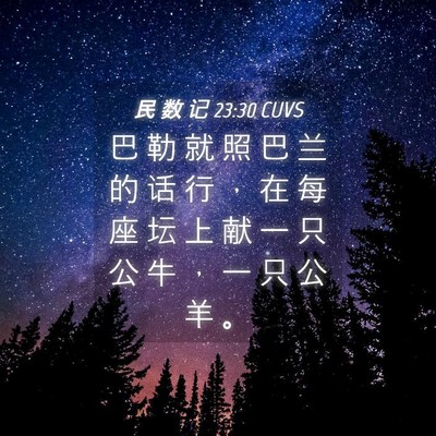 Picture 04 - 民 数 记 23:30 CUVS - 巴 勒 就 照 巴 兰 的 话 行 ， 在 每 - Bible Verse Picture