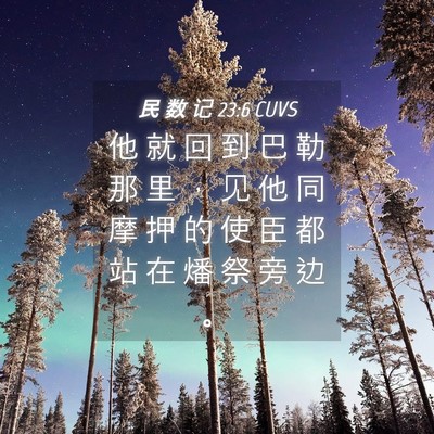 Picture 04 - 民 数 记 23:6 CUVS - 他 就 回 到 巴 勒 那 里 ， 见 他 同 - Bible Verse Picture