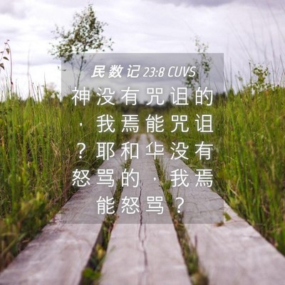 Picture 04 - 民 数 记 23:8 CUVS - 神 没 有 咒 诅 的 ， 我 焉 能 咒 诅 - Bible Verse Picture