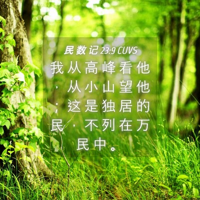 Picture 04 - 民 数 记 23:9 CUVS - 我 从 高 峰 看 他 ， 从 小 山 望 他 - Bible Verse Picture