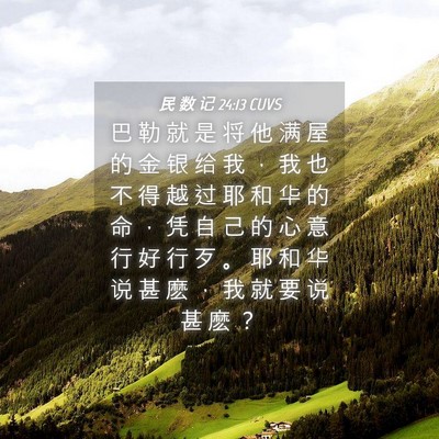 Picture 04 - 民 数 记 24:13 CUVS - 巴 勒 就 是 将 他 满 屋 的 金 银 给 - Bible Verse Picture