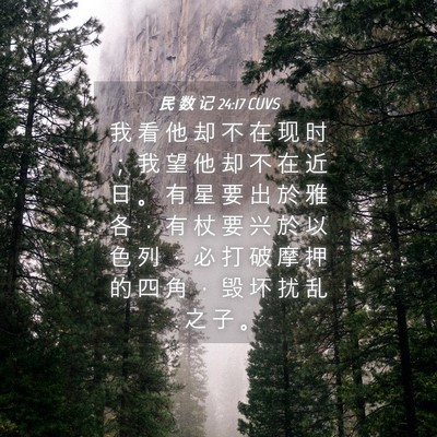 Picture 04 - 民 数 记 24:17 CUVS - 我 看 他 却 不 在 现 时 ； 我 望 他 - Bible Verse Picture
