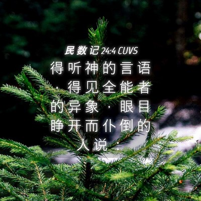 Picture 04 - 民 数 记 24:4 CUVS - 得 听 神 的 言 语 ， 得 见 全 能 者 - Bible Verse Picture