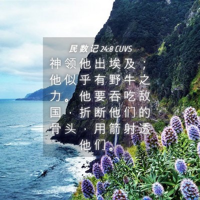 Picture 04 - 民 数 记 24:8 CUVS - 神 领 他 出 埃 及 ； 他 似 乎 有 野 - Bible Verse Picture