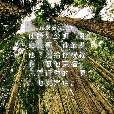Picture 04 - 民 数 记 24:9 CUVS - 他 蹲 如 公 狮 ， 卧 如 母 狮 ， 谁 - Bible Verse Picture