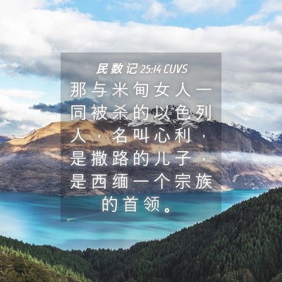 Picture 04 - 民 数 记 25:14 CUVS - 那 与 米 甸 女 人 一 同 被 杀 的 以 - Bible Verse Picture