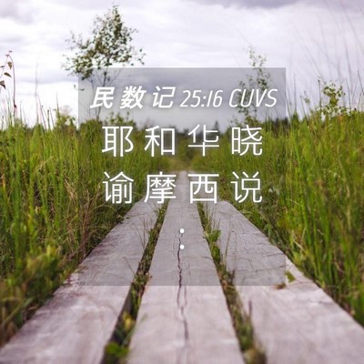 Picture 04 - 民 数 记 25:16 CUVS - 耶 和 华 晓 谕 摩 西 说 - Bible Verse Picture