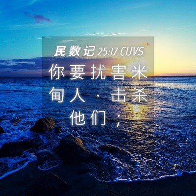 Picture 04 - 民 数 记 25:17 CUVS - 你 要 扰 害 米 甸 人 ， 击 杀 他 们 - Bible Verse Picture