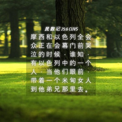 Picture 04 - 民 数 记 25:6 CUVS - 摩 西 和 以 色 列 全 会 众 正 在 会 - Bible Verse Picture