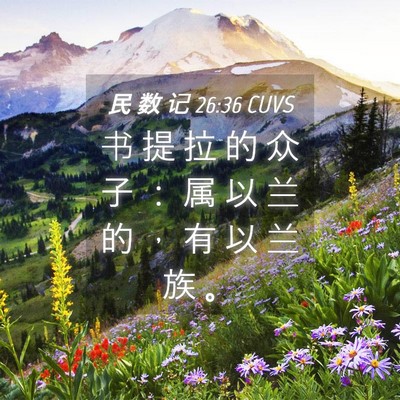 Picture 04 - 民 数 记 26:36 CUVS - 书 提 拉 的 众 子 ： 属 以 兰 的 ， - Bible Verse Picture