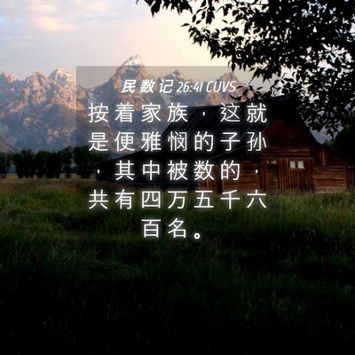 Picture 04 - 民 数 记 26:41 CUVS - 按 着 家 族 ， 这 就 是 便 雅 悯 的 - Bible Verse Picture
