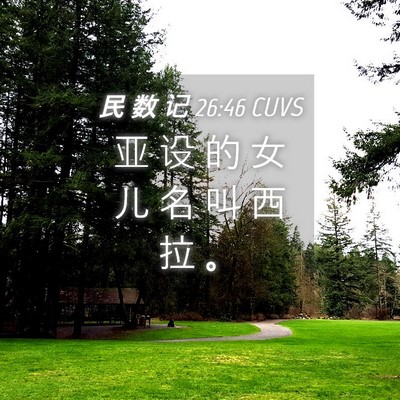 Picture 04 - 民 数 记 26:46 CUVS - 亚 设 的 女 儿 名 叫 西 拉 - Bible Verse Picture