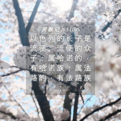 Picture 04 - 民 数 记 26:5 CUVS - 以 色 列 的 长 子 是 流 便 。 流 便 - Bible Verse Picture