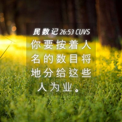 Picture 04 - 民 数 记 26:53 CUVS - 你 要 按 着 人 名 的 数 目 将 地 分 - Bible Verse Picture