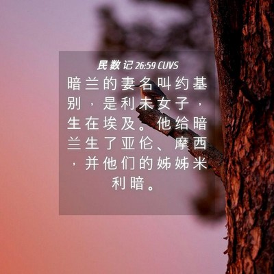 Picture 04 - 民 数 记 26:59 CUVS - 暗 兰 的 妻 名 叫 约 基 别 ， 是 利 - Bible Verse Picture