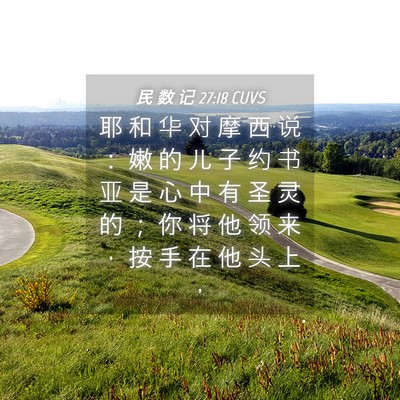 Picture 04 - 民 数 记 27:18 CUVS - 耶 和 华 对 摩 西 说 ： 嫩 的 儿 子 - Bible Verse Picture