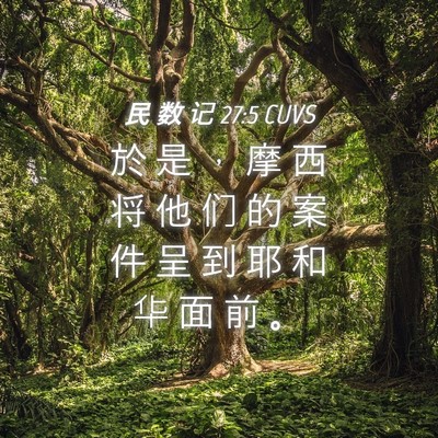 Picture 04 - 民 数 记 27:5 CUVS - 於 是 ， 摩 西 将 他 们 的 案 件 呈 - Bible Verse Picture